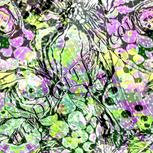Colour:D