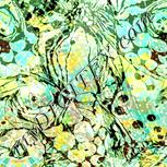 Colour:K