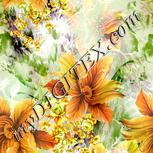 Colour:A