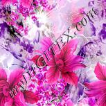 Colour:B