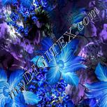 Colour:F