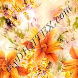 Colour:J