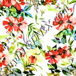 Colour:A