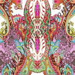 Colour:B