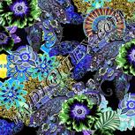 Colour:F