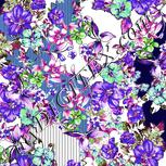 Colour:A