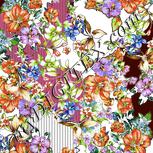 Colour:C