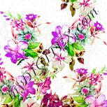 Colour:A