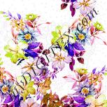 Colour:B