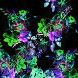 Colour:F