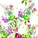 Colour:K