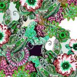 Colour:C