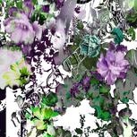 Colour:D
