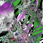 Colour:C