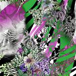 Colour:D