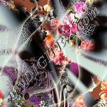 Colour:A