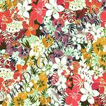 Colour:K