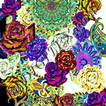 Colour:K