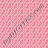 Colour:B