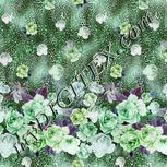 Colour:C