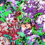 Colour:B