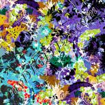 Colour:F