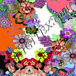 Colour:B