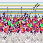 Colour:B