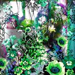Colour:C