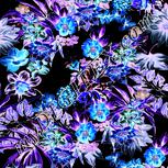 Colour:F