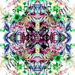 Colour:C