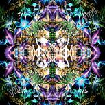 Colour:F