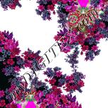 Colour:B