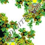Colour:K