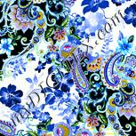 Colour:F