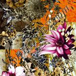Colour:A