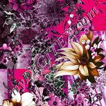 Colour:B
