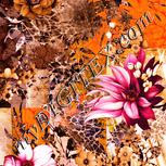 Colour:J