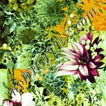 Colour:K