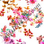 Colour:J