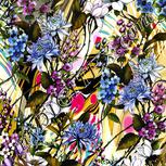 Colour:A