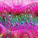 Colour:B