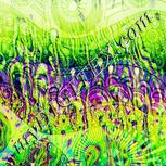Colour:D