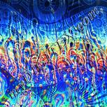 Colour:F