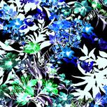 Colour:F