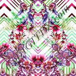 Colour:B