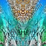 Colour:A