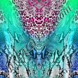Colour:B