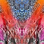 Colour:F
