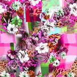 Colour:B